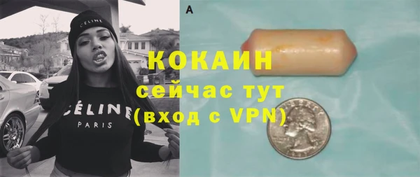 молекула духа Алексин