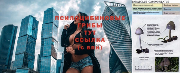 каннабис Алексеевка