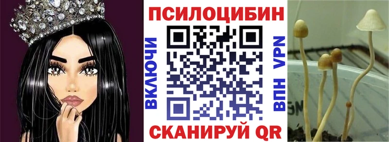 Псилоцибиновые грибы мухоморы  как найти закладки  Богучар 
